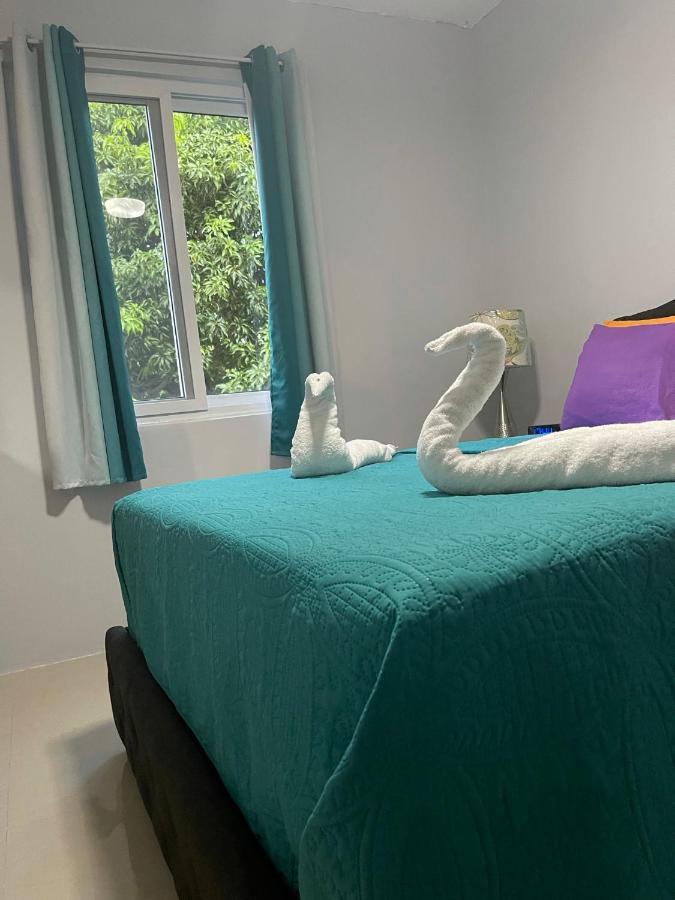 Jamrock Suites Kingston Eksteriør bilde